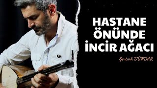 HASTANE ÖNÜNDE İNCİR AĞACI  ŞENTÜRK DÜNDAR [upl. by Kreager]