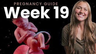 19 Weeks Pregnant  Week By Week Pregnancy [upl. by Moriarty]