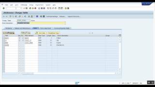 Creating a TMG Table Maintenance Generator in SAP ABAP [upl. by Haorbed46]