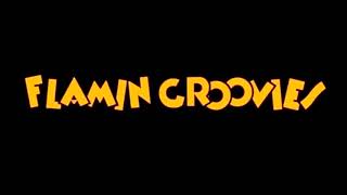 Flamin Groovies  Live in San Francisco 1979 Full Concert [upl. by Thain]