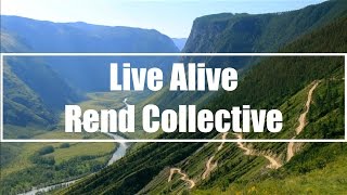 Live Alive  Rend Collective Lyrics [upl. by Enial985]