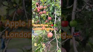 Apple Farm London  farming  viralshortsviralvideoviralsong [upl. by Namor260]