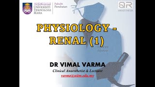 QR ANAESTHESIA  RENAL PHYSIOLOGY PART 1 [upl. by Azile]