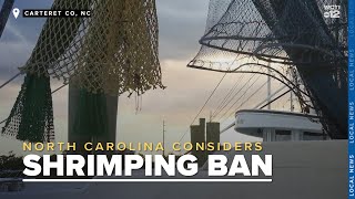 Debates over ending inshore shrimp trawling to protect marine life [upl. by Avlis]