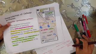 Bio210protein metabolism P1 [upl. by Ploss]