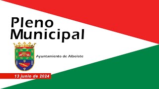 PLENO MUNICIPAL ORDINARIO [upl. by Uke174]