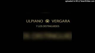 ULPIANO VERGARA EN VIVO MUÑEQUITA [upl. by Nwhas635]