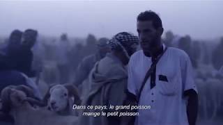 DES MOUTONS ET DES HOMMES  Bande annonce [upl. by Court]