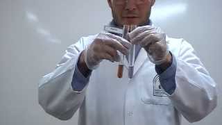 Sakaguchi test Part 2 Identification of Amino Acids Arginine [upl. by Ainadi354]