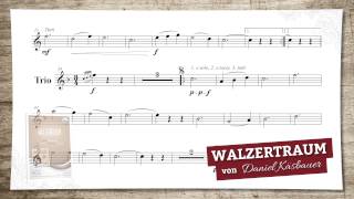 Walzertraum Walzer [upl. by Cara]