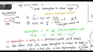 The Bohr effect  AS Biology [upl. by Rigdon122]