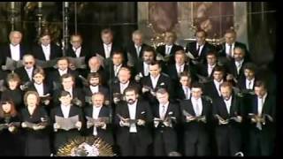 22 Haydn Missa in Tempore Belli Paukenmesse Quoniam Tu Solus Bernstein [upl. by Stich]