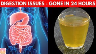 10 Ways to Improve Digestive System  Get INSTANT Boost Naturally [upl. by Noirred]