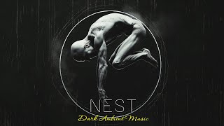 Nest Dark Ambient Music for Introspection and Confinement [upl. by Gabrielli144]