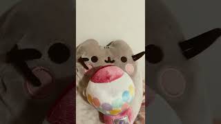 funny edit trio cat pusheen [upl. by Gratia]