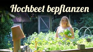 Hochbeete bepflanzen 🎍 Agretti im Garten 🎍 Salat anbauen 🎍 Permakultur [upl. by Doloritas]