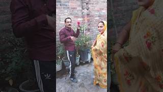 So phool khile jab ye khila roop sunharasongdance shortvideo youtube [upl. by Retlaw]