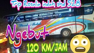 TRIP ROSALIA INDAH shd 528 purwantorowonogiripinang ranti jakarta timur part 1 [upl. by Magdau76]