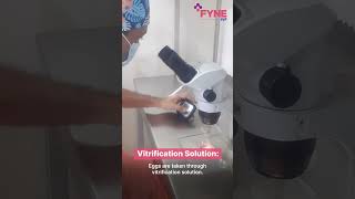 Oocyte Vitrification Egg Freezing Process  Fyne IVF [upl. by Humble]