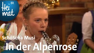 SchöScha Musi In der Alpenrose  Wirtshausmusikanten  BR Heimat [upl. by Nosrej409]