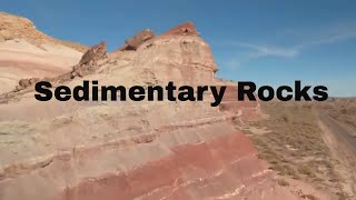 Sedimentary Rock Examples [upl. by Eisak]