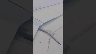 Flaps vibration flaps plane [upl. by Winchester]