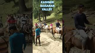 PAHALGAM ❤️ BAISARAN VALLEY 🥰🥀🍁like shere viralvideo shortmusic nature [upl. by Ansela]