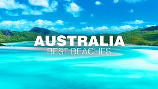 The BEST BEACHES in AUSTRALIA ft Whitehaven Beach Lucky Bay Wineglass Bay Manly amp Surfers [upl. by Willner]