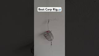 The Ultimate Carp Fishing Rig Guide [upl. by Nilloc91]