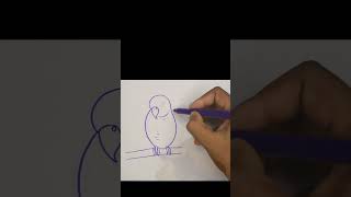 Two Budgie Birds Line Drawing with Pencil and Black Sketch Pen  Shorts  BirdDrawing drawing [upl. by Phira]