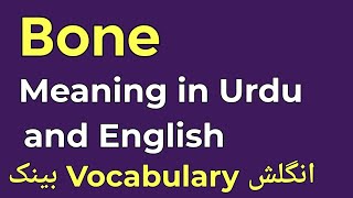 Bone meaning in UrduHindi and English [upl. by Hgielhsa]