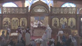 Holy Liturgy  Nov 03 2024 [upl. by Jemina695]