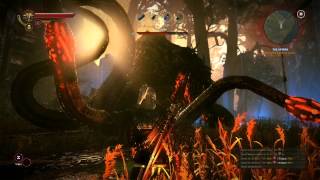 How to Win the Kayran Boss Fight  The Witcher 2 Tutorial HD 1080p [upl. by Sharline]