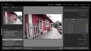 Vorgaben für besondere Bildlooks verwenden  Adobe Photoshop Lightroom 6 und CC – Das Training [upl. by Luamaj]