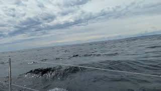 Crossing the Pentland Firth [upl. by Glen239]