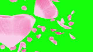 4K Flower Petals Overlay  Green Screen [upl. by Friedman627]