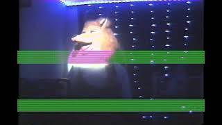 Barbara Stringband Animatronic Performs quotSelf Controlquot VHS Version [upl. by Hepsiba]