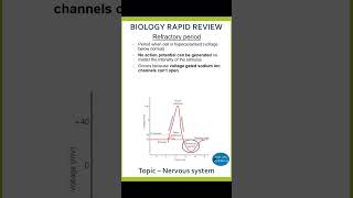 Refractory period alevelbiology nervoussystem actionpotential biology [upl. by Minton449]