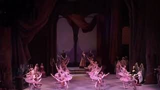 Raymonda  1 act Waltz Mariinskiy Ballet [upl. by Drofwarc]