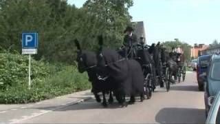 Uitvaart in Veenendaal  Stalhouderij de Zadelhoff [upl. by Nyrual]