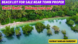 V 184 Subdivided Beach lot For Sale Near town proper 3222 Sqm 30 meters Beach frontage [upl. by Calisa]