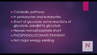 Pentose Phosphate PathwayPhosphogluconate PathwayHexose Monophosphate Shunt [upl. by Suolkcin87]