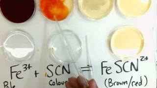 Le Chateliers Principle Demonstration [upl. by Htebarual451]