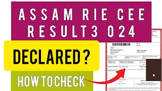 RIE CEE Result 2024  How To Check RIE CEE Result 2024 [upl. by Fernyak]