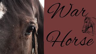 War Horse Book Summary [upl. by Charyl]