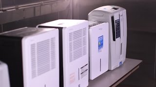 Dehumidifier Buying Guide Interactive Video  Consumer Reports [upl. by Adnahcir]