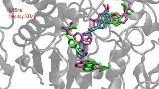 Crystal Structure of Recombinant Human Acetylcholinesterase in Complex with Donepezil [upl. by Marinelli]