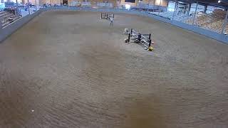 Topeka Livestock Auction Live Stream [upl. by Enilesor]