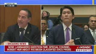 Jamie Raskin Calls Out AntiDemocracy Trump Cultists At Robert Hur Hearing [upl. by Elbys488]