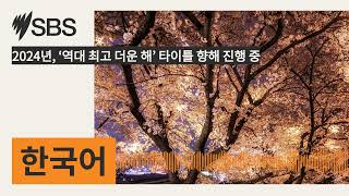 2024년 ‘역대 최고 더운 해’ 타이틀 향해 진행 중  SBS Korean  SBS 한국어 프로그램 [upl. by Ahtnams]